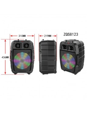 HAUT PARLEUR BLUETOOTH