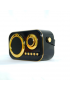 Haut-parleur Bluetooth ZQS-1219