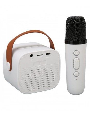 Haut-parleur Bluetooth CESAR K1