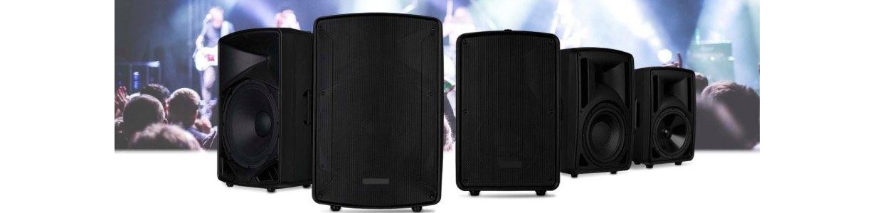 HAUT PARLEUR ENCEINTE